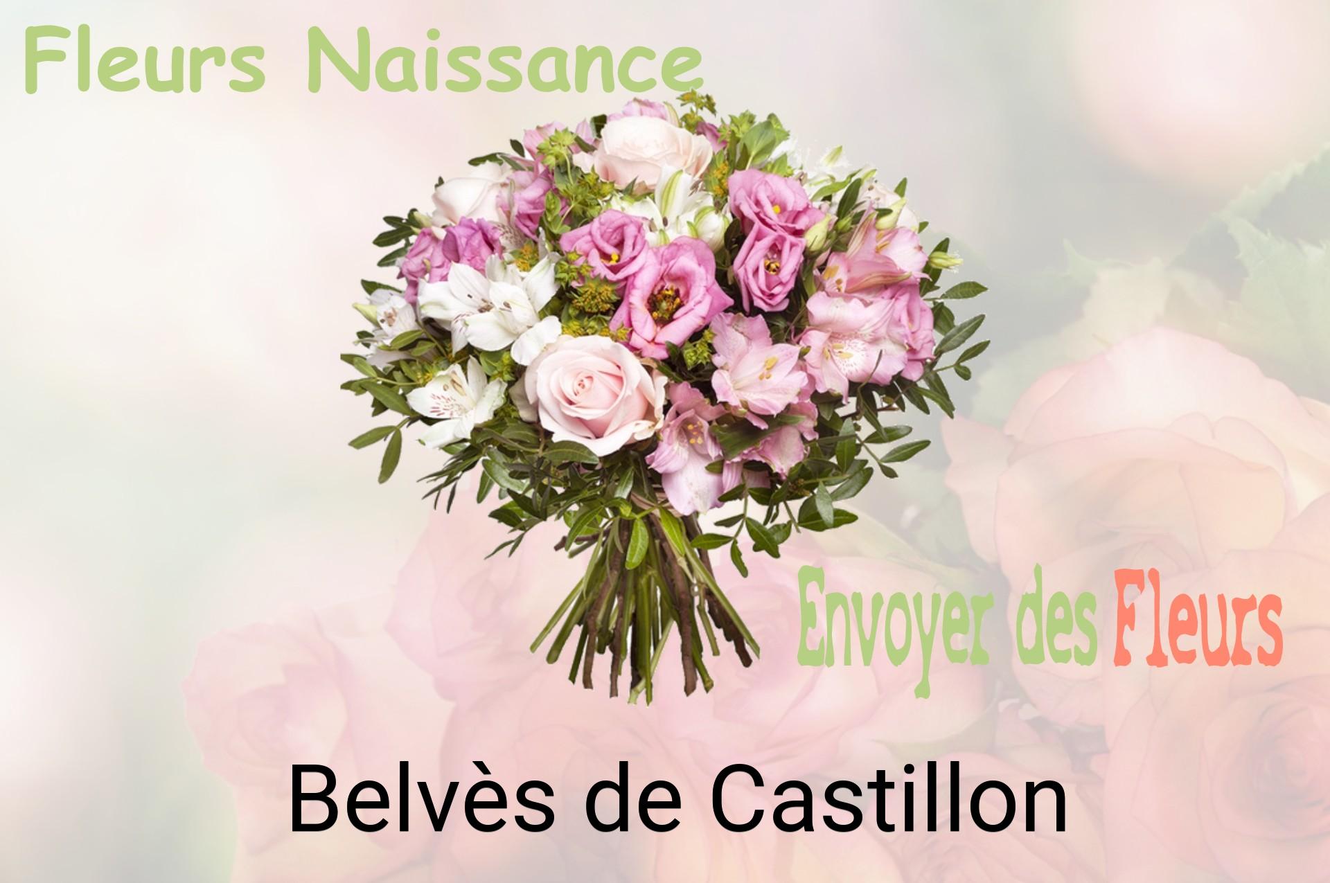 Bouquet de fleurs de naissance livré à Belvès-de-Castillon